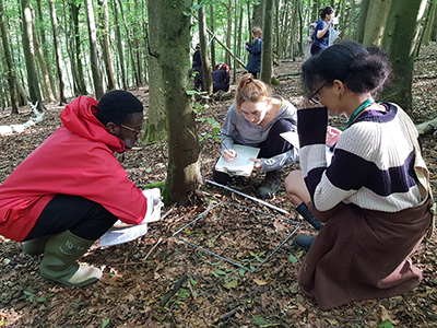 Biology Field Trip Activity