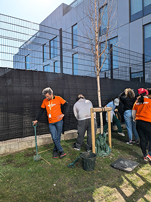 Amazon Hedge Planting Volunteers
