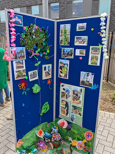 a blue display board showing pictures of the gardening project